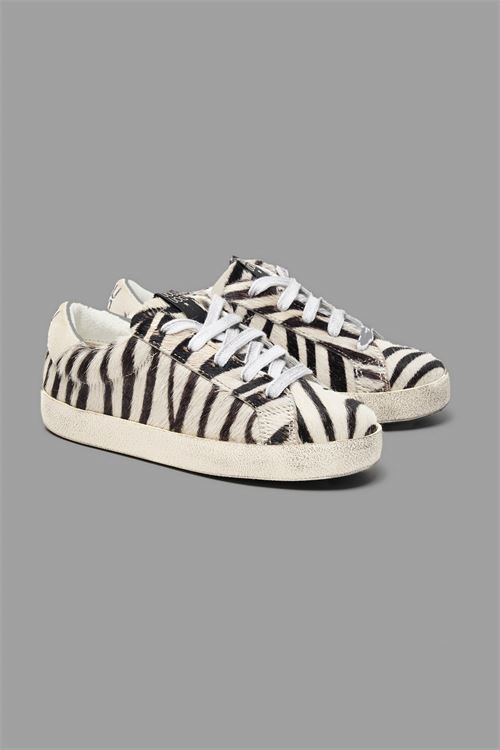 SNEAKERS CAVALLINO ZEBRA