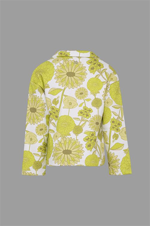 FELPA LIME