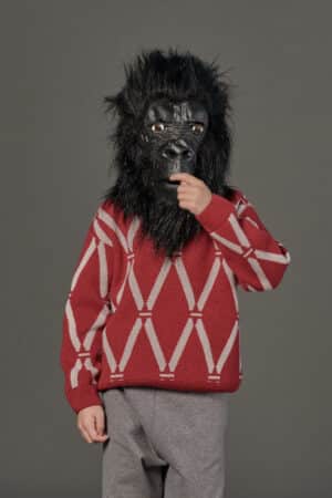 AS24---douuod---249O00W0089414BG.JPG